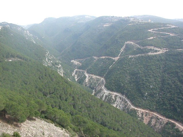 Jbeil reserve a rare success story in fire prevention