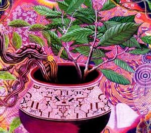 Breaking mental boundaries: psychedelics take you to another realm